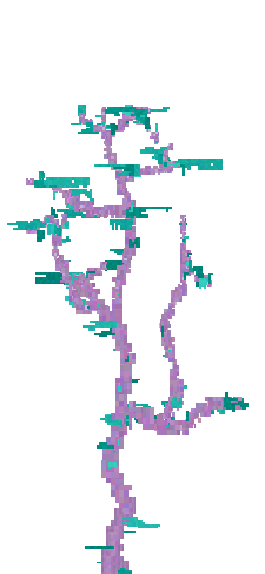 Tree2 Image